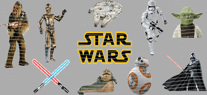 16oz Disney style-D-858